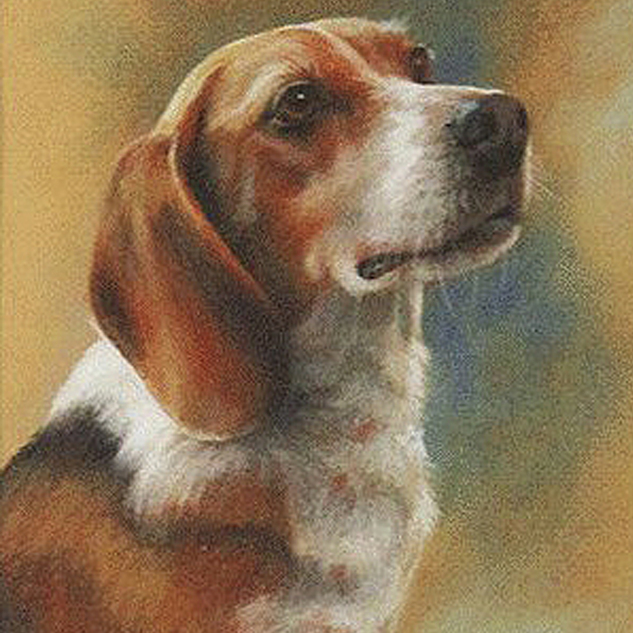 "Shiloh" 8x10 Pastel