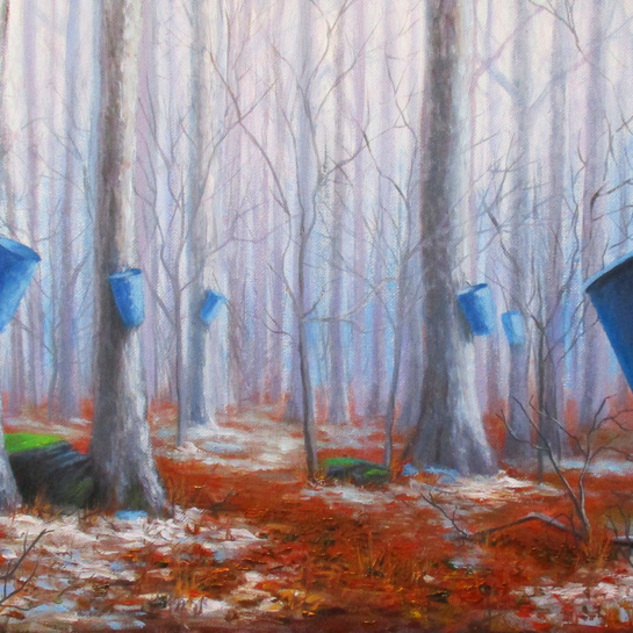 "Maple Woods" 12x24