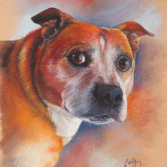 "Griffin" 8x10 Pastel