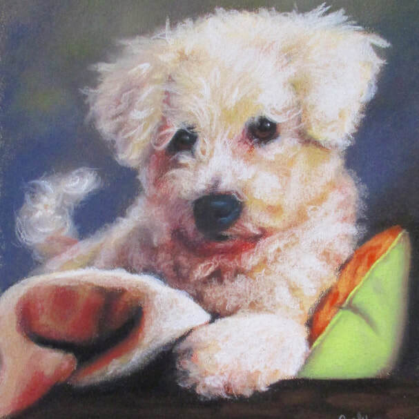 "Finnigan" 8x10 Pastel