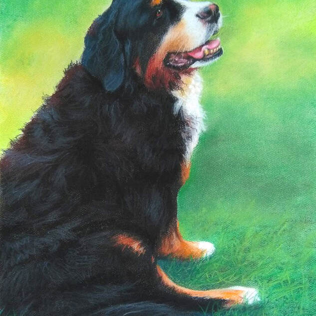 "Brandy" 11x14 Pastel