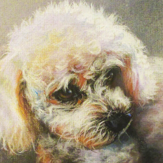 "Biscuit" 8x10 Pastel