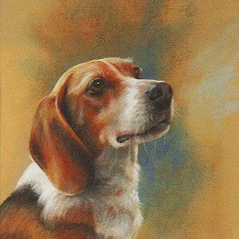 "Shiloh" 8x10 Pastel